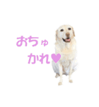 ちぇりーとここ（個別スタンプ：2）