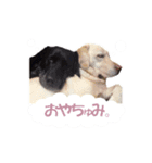 ちぇりーとここ（個別スタンプ：8）