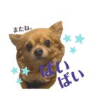 lufcobスタンプ②（個別スタンプ：7）