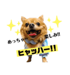 lufcobスタンプ②（個別スタンプ：9）