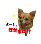 lufcobスタンプ②（個別スタンプ：11）