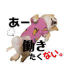 lufcobスタンプ②（個別スタンプ：14）