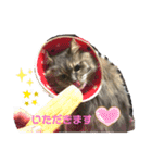 ジェイ♂＆クーン♀（個別スタンプ：6）
