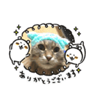 ジェイ♂＆クーン♀（個別スタンプ：16）