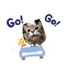 ジェイ♂＆クーン♀（個別スタンプ：21）