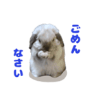 うさぎのラブくん（個別スタンプ：4）