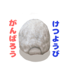 うさぎのラブくん（個別スタンプ：24）