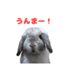 うさぎのラブくん（個別スタンプ：26）