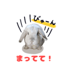 うさぎのラブくん（個別スタンプ：30）