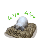 うさぎのラブくん（個別スタンプ：39）