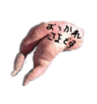 うーこの日常4 いもみ（個別スタンプ：1）