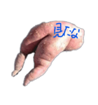 うーこの日常4 いもみ（個別スタンプ：2）