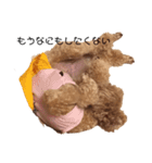 ティーちゃんアモちゃん（個別スタンプ：2）