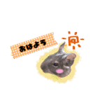 Ram-sticker2（個別スタンプ：1）
