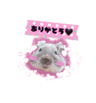 Ram-sticker2（個別スタンプ：5）