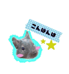 Ram-sticker2（個別スタンプ：11）