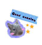 Ram-sticker2（個別スタンプ：12）