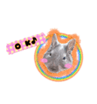 Ram-sticker2（個別スタンプ：14）