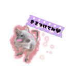 Ram-sticker2（個別スタンプ：19）