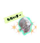 Ram-sticker2（個別スタンプ：21）