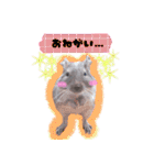 Ram-sticker2（個別スタンプ：33）