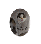 仲良くなった8（個別スタンプ：1）