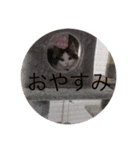 仲良くなった8（個別スタンプ：3）