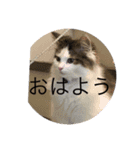仲良くなった8（個別スタンプ：4）