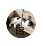 仲良くなった8（個別スタンプ：8）