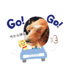 ピンキー＆リリ（個別スタンプ：1）