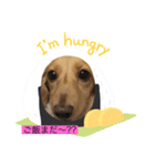 ピンキー＆リリ（個別スタンプ：3）
