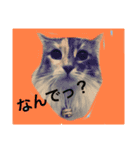 猫スタンプ★ロア日常会話2〜ひとこと編〜（個別スタンプ：1）