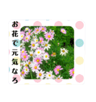ゆるっとかわいいお花のスタンプ（個別スタンプ：1）