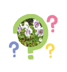 ゆるっとかわいいお花のスタンプ（個別スタンプ：7）