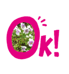 ゆるっとかわいいお花のスタンプ（個別スタンプ：18）