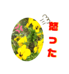 ゆるっとかわいいお花のスタンプ（個別スタンプ：19）
