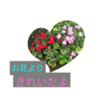 ゆるっとかわいいお花のスタンプ（個別スタンプ：20）