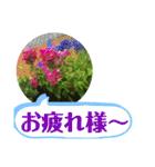ゆるっとかわいいお花のスタンプ（個別スタンプ：23）