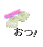 ゆるっとかわいいお花のスタンプ（個別スタンプ：24）
