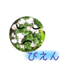 ゆるっとかわいいお花のスタンプ（個別スタンプ：25）