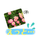 ゆるっとかわいいお花のスタンプ（個別スタンプ：28）