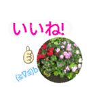 ゆるっとかわいいお花のスタンプ（個別スタンプ：29）