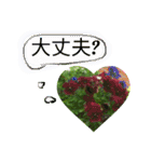 ゆるっとかわいいお花のスタンプ（個別スタンプ：30）