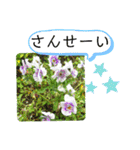 ゆるっとかわいいお花のスタンプ（個別スタンプ：31）