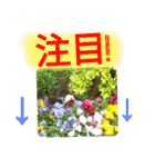 ゆるっとかわいいお花のスタンプ（個別スタンプ：33）