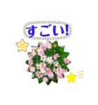 ゆるっとかわいいお花のスタンプ（個別スタンプ：35）