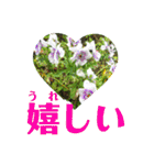 ゆるっとかわいいお花のスタンプ（個別スタンプ：37）