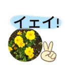 ゆるっとかわいいお花のスタンプ（個別スタンプ：38）