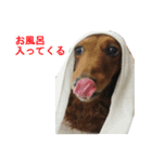 Mr, Jack（個別スタンプ：2）
