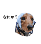 Mr, Jack（個別スタンプ：7）